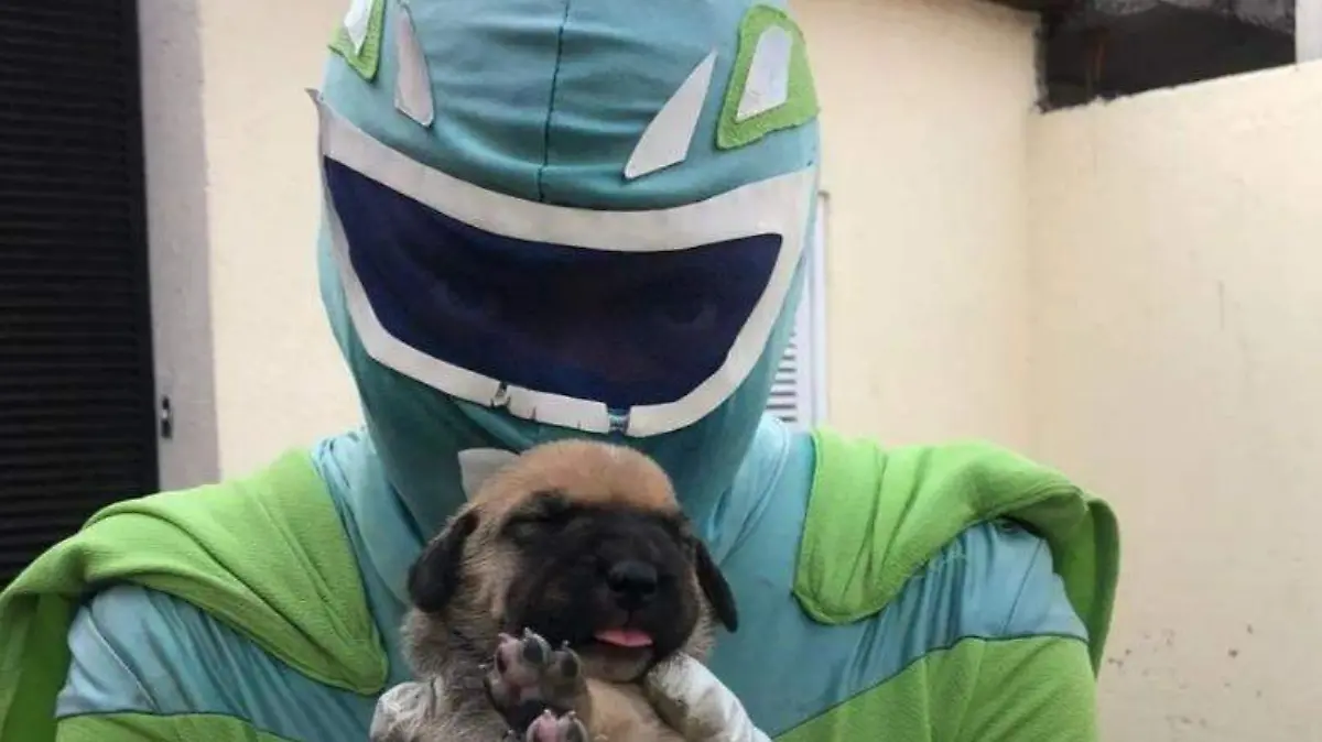 ZadridMan superhéroe de los perritos